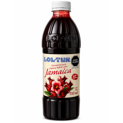 Jamaica concentrado 1000ml Lol-Tun